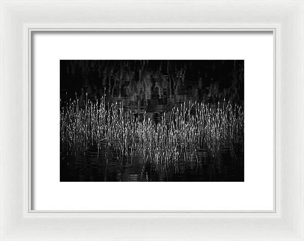 Reflective Grasses in Water - Framed Print