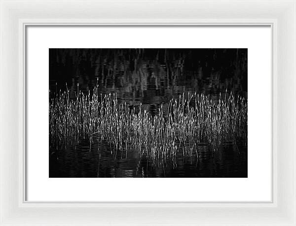 Reflective Grasses in Water - Framed Print