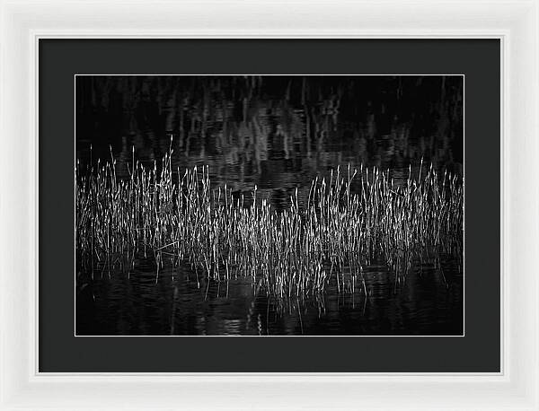 Reflective Grasses in Water - Framed Print