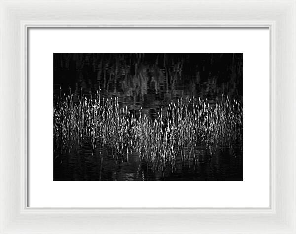 Reflective Grasses in Water - Framed Print