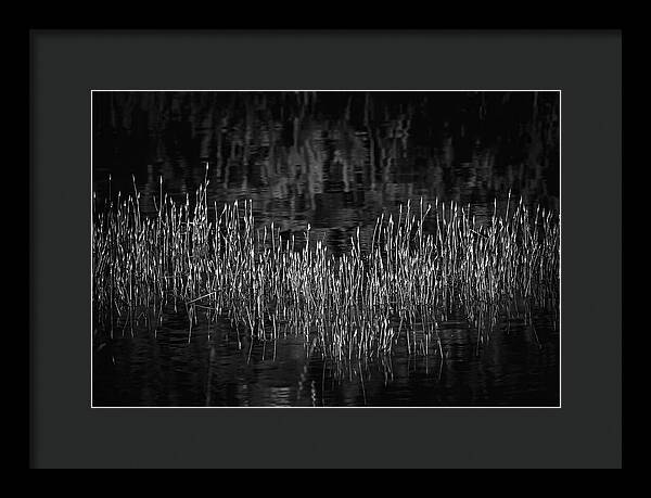 Reflective Grasses in Water - Framed Print