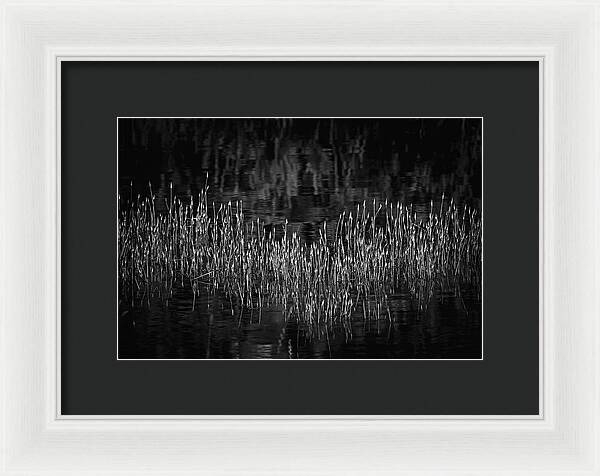 Reflective Grasses in Water - Framed Print