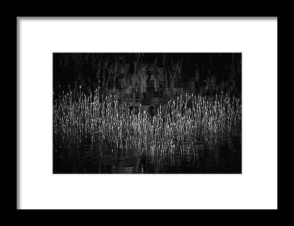 Reflective Grasses in Water - Framed Print