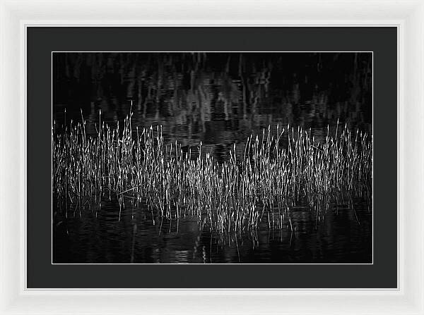 Reflective Grasses in Water - Framed Print