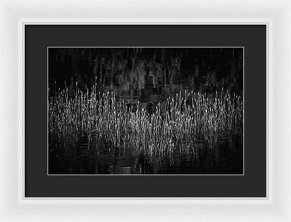 Reflective Grasses in Water - Framed Print