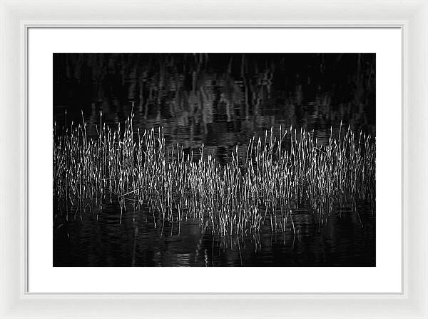 Reflective Grasses in Water - Framed Print