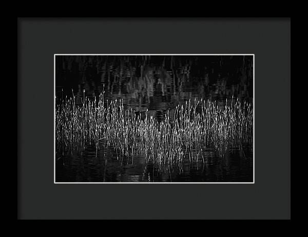 Reflective Grasses in Water - Framed Print