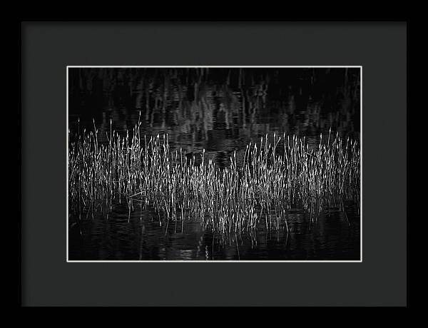 Reflective Grasses in Water - Framed Print
