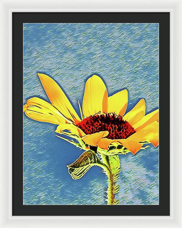 Rising Sun Flower Painting - Framed Print