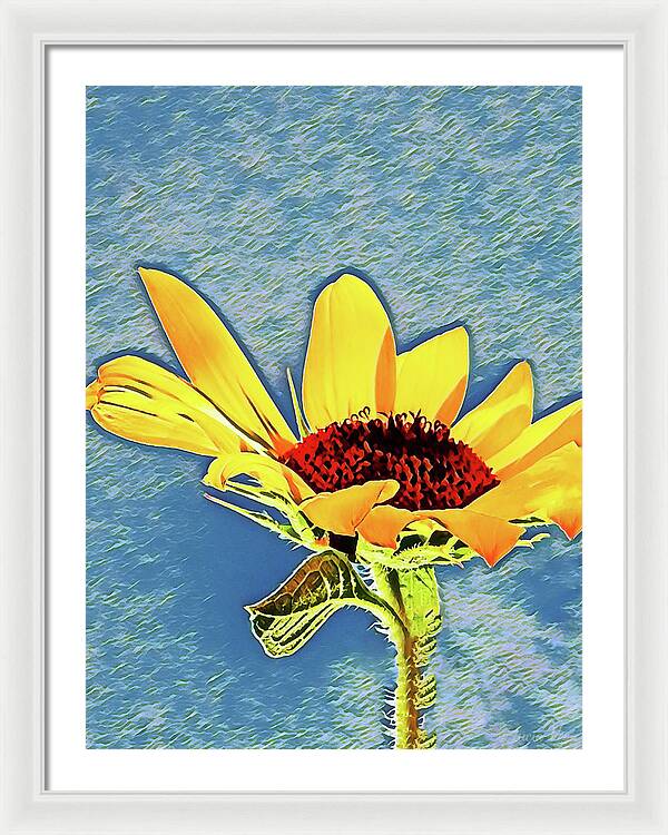 Rising Sun Flower Painting - Framed Print