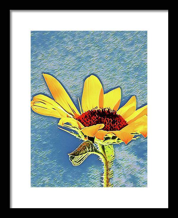 Rising Sun Flower Painting - Framed Print