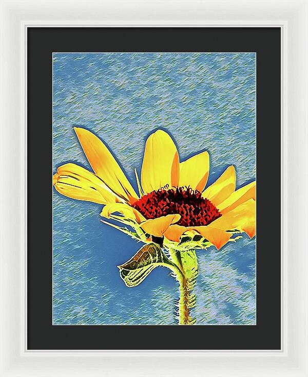 Rising Sun Flower Painting - Framed Print