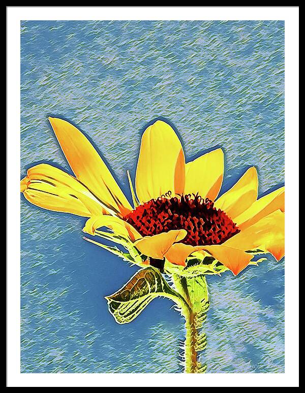 Rising Sun Flower Painting - Framed Print