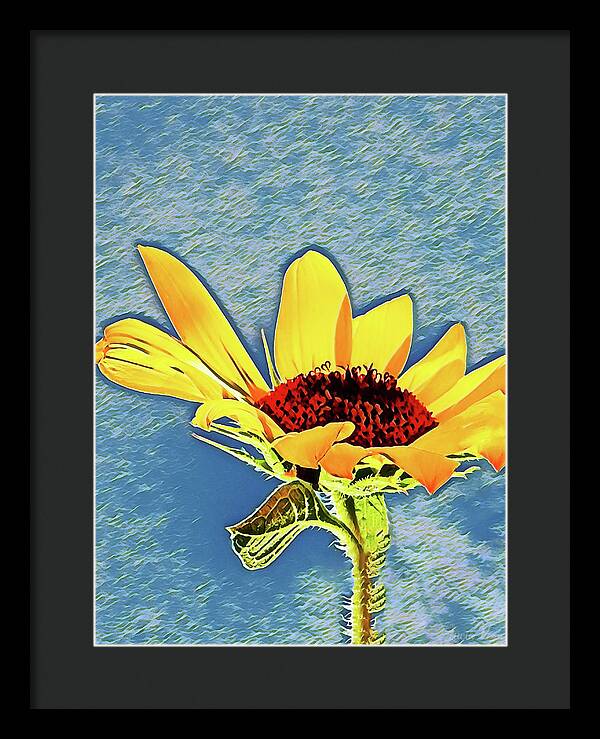 Rising Sun Flower Painting - Framed Print