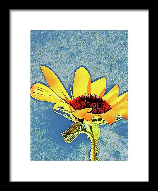 Rising Sun Flower Painting - Framed Print