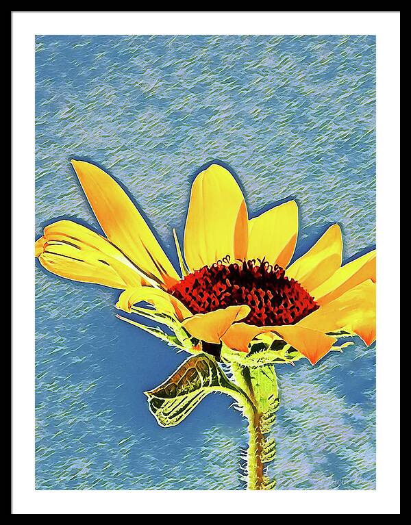 Rising Sun Flower Painting - Framed Print