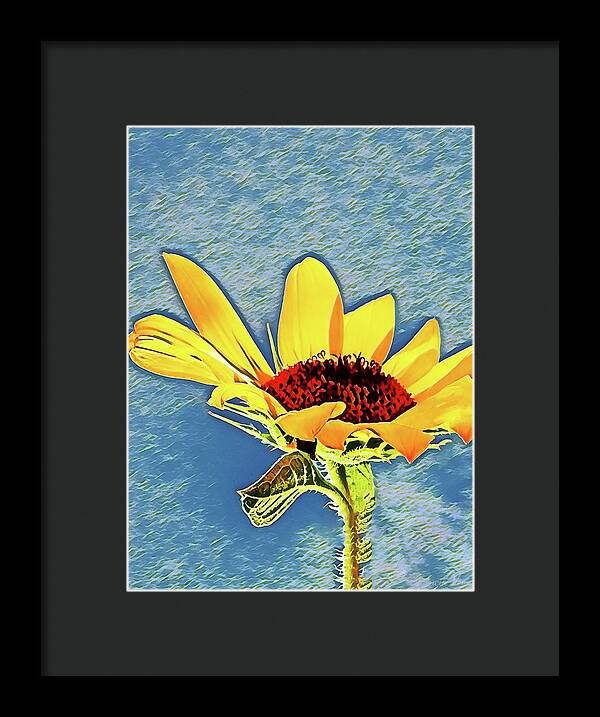 Rising Sun Flower Painting - Framed Print