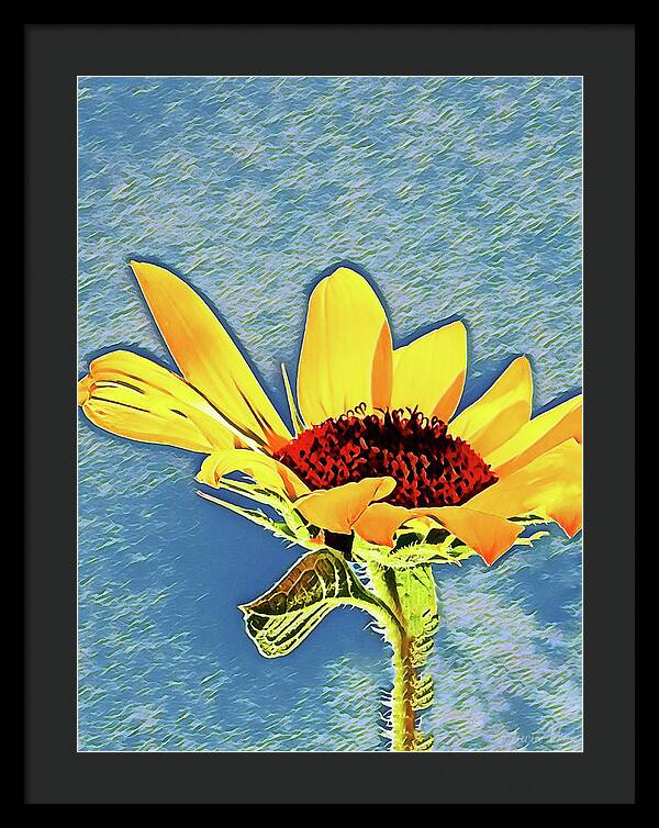 Rising Sun Flower Painting - Framed Print
