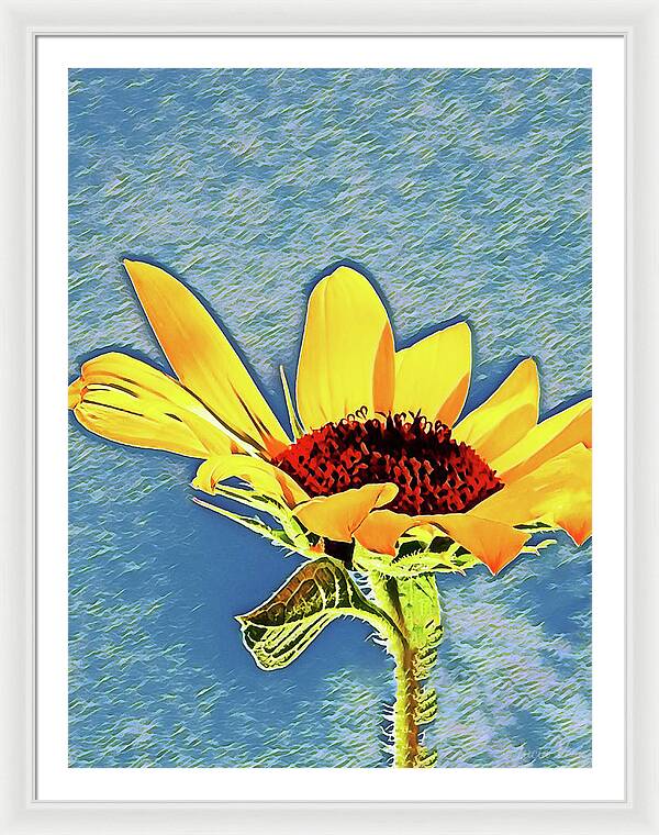 Rising Sun Flower Painting - Framed Print