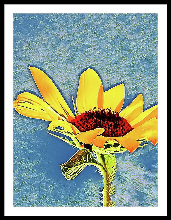 Rising Sun Flower Painting - Framed Print