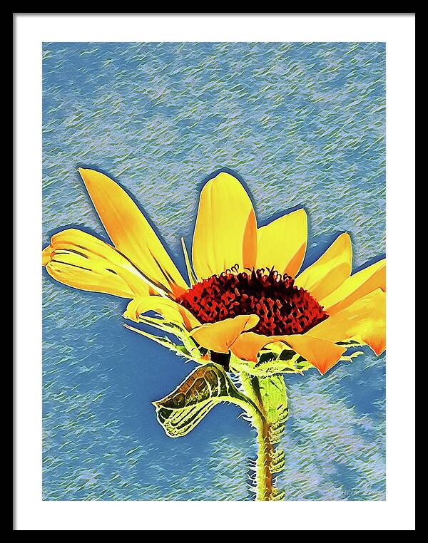 Rising Sun Flower Painting - Framed Print