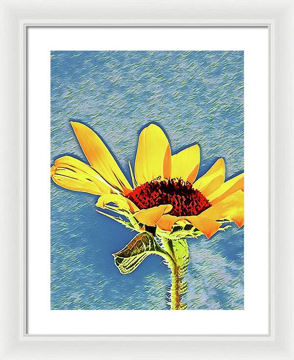 Rising Sun Flower Painting - Framed Print