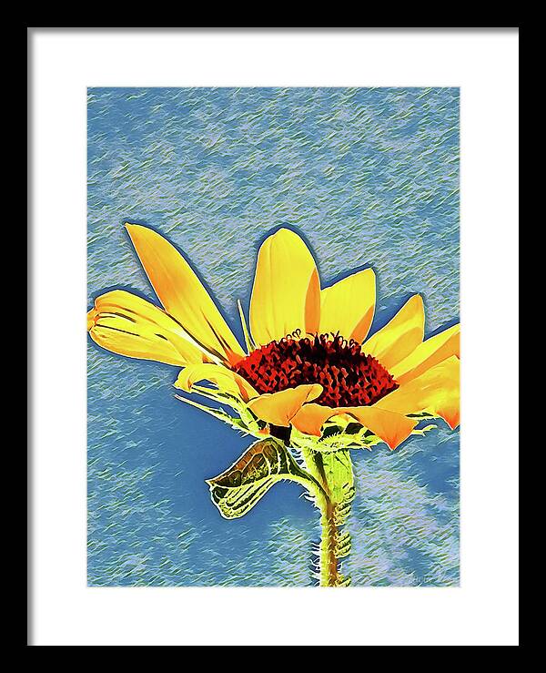 Rising Sun Flower Painting - Framed Print