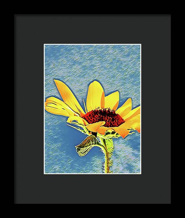 Rising Sun Flower Painting - Framed Print