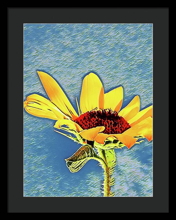 Rising Sun Flower Painting - Framed Print