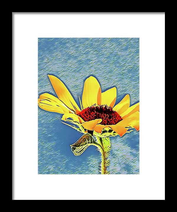 Rising Sun Flower Painting - Framed Print