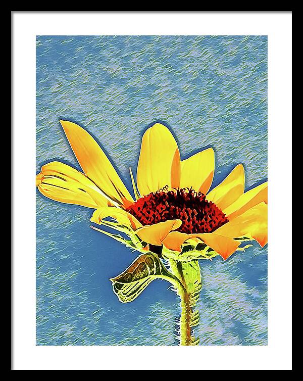 Rising Sun Flower Painting - Framed Print