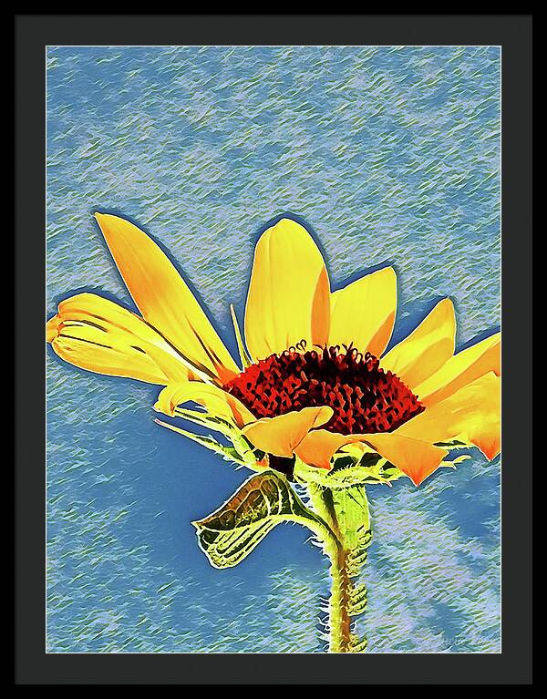 Rising Sun Flower Painting - Framed Print
