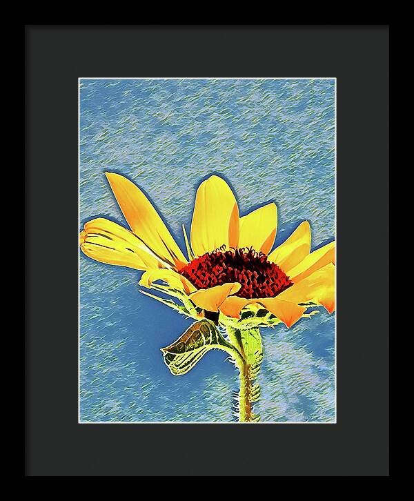 Rising Sun Flower Painting - Framed Print