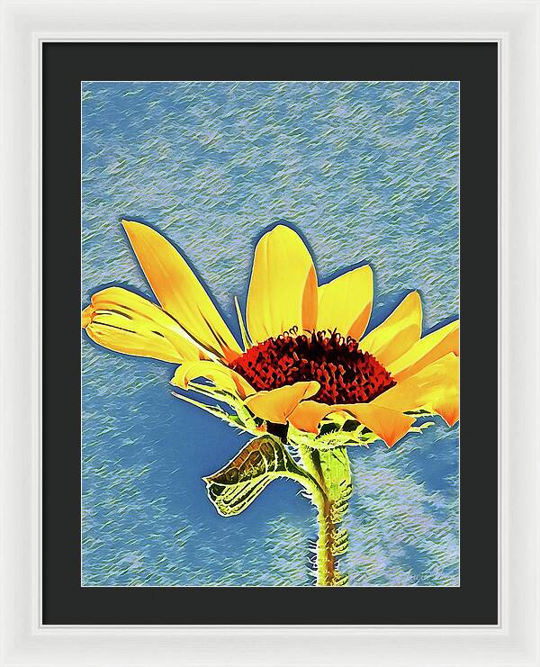 Rising Sun Flower Painting - Framed Print