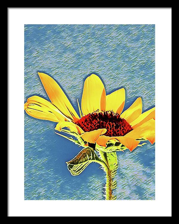 Rising Sun Flower Painting - Framed Print