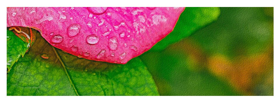 Rose Petal with Raindrops - Yoga Mat