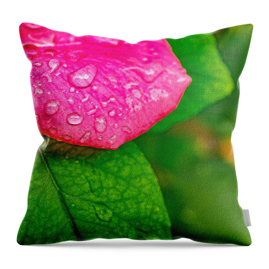 Rose Petal with Raindrops - Throw Pillow