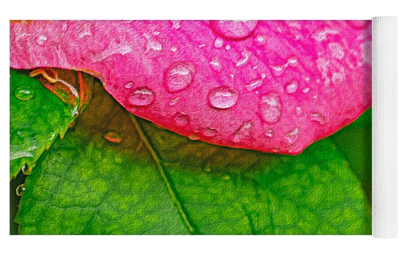 Rose Petal with Raindrops - Yoga Mat