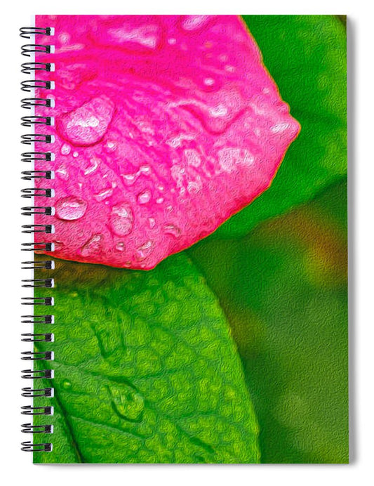 Rose Petal with Raindrops - Spiral Notebook