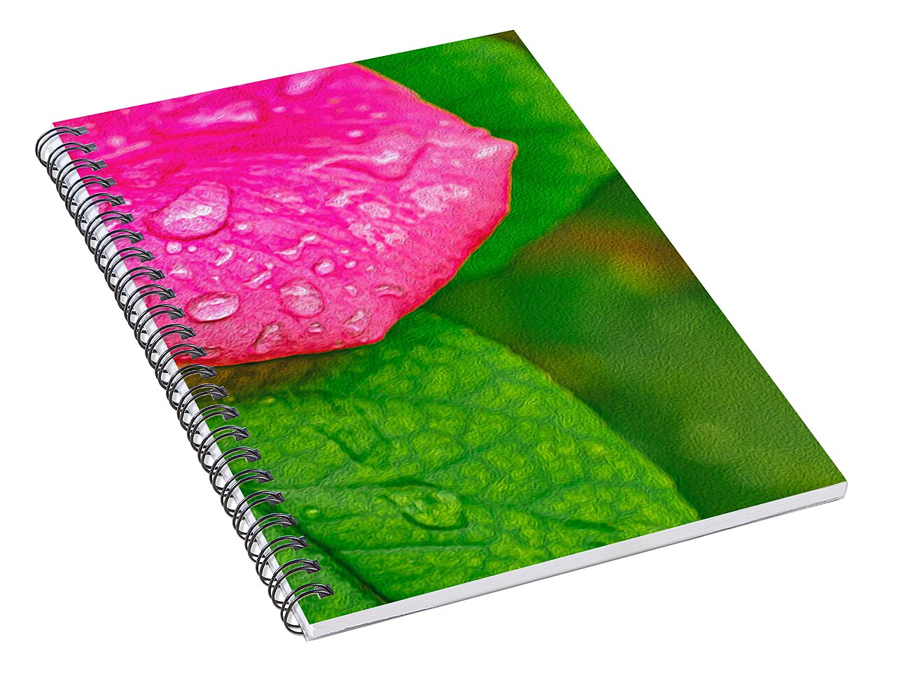 Rose Petal with Raindrops - Spiral Notebook