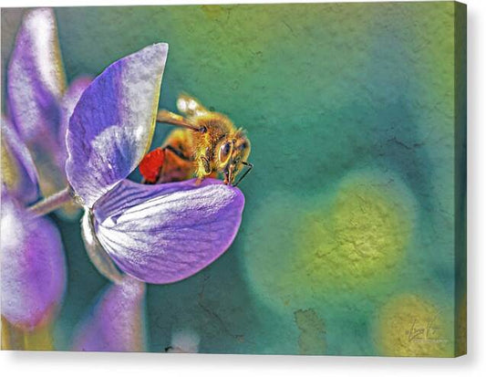 Rough Art Wall Layer of a Bee on a Flower - Canvas Print