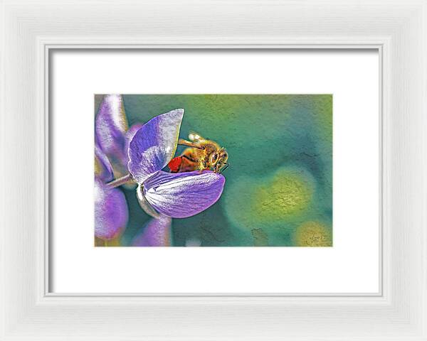 Rough Art Wall Layer of a Bee on a Flower - Framed Print