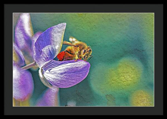 Rough Art Wall Layer of a Bee on a Flower - Framed Print
