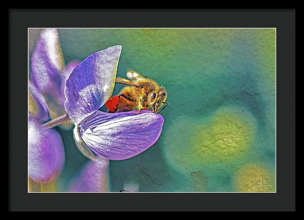 Rough Art Wall Layer of a Bee on a Flower - Framed Print