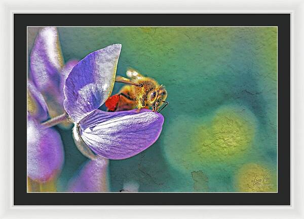 Rough Art Wall Layer of a Bee on a Flower - Framed Print