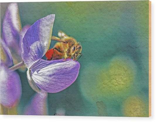 Rough Art Wall Layer of a Bee on a Flower - Wood Print