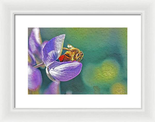 Rough Art Wall Layer of a Bee on a Flower - Framed Print