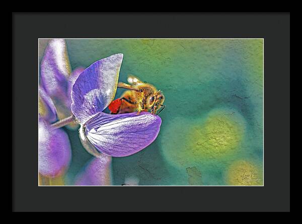 Rough Art Wall Layer of a Bee on a Flower - Framed Print