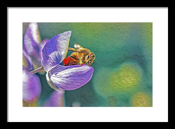 Rough Art Wall Layer of a Bee on a Flower - Framed Print