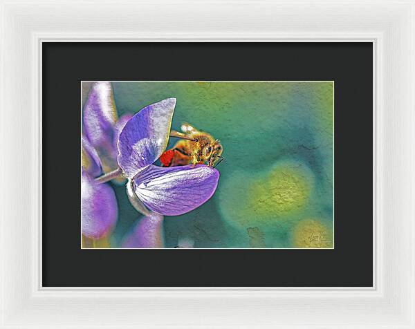 Rough Art Wall Layer of a Bee on a Flower - Framed Print